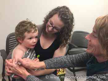 Province says flu shots prevents serious illness, deaths - My Comox Valley Now
