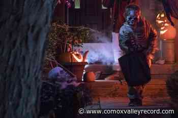 Supply shortage woes have Halloween shops scrambling for stock - Comox Valley Record