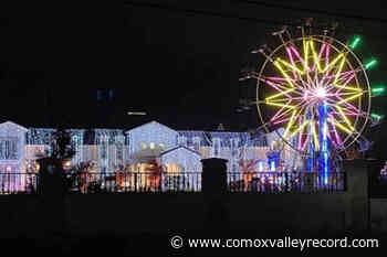 Raucous ferris-wheel wedding awakens residents' ire in Surrey – Comox Valley Record - Comox Valley Record
