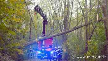 Wegen Sturmtief Ignatz: Umgestürzte Bäume und Bauzaun beschäftigten die Feuerwehr Olching - Merkur Online