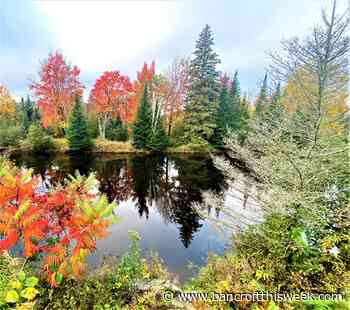 Refocusing hope | Bancroft this Week - Bancroft This Week