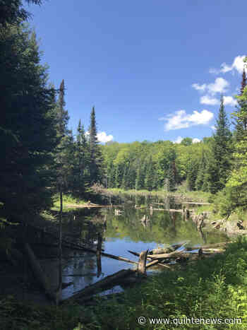 NCC to use land donation to create massive protected area near Bancroft - Quinte News