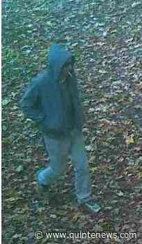 Bancroft OPP seeking suspect in break and enter - Quinte News