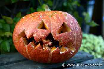 Pompoenactie moet sfeer brengen in Herne