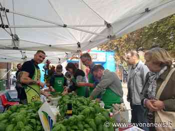 Il basilico genovese Dop di Andora protagonista a Fossano di "Coloratissimo Autunno" - SavonaNews.it