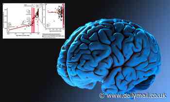 Human brain DECREASED in size 3,000 years ago when ancient beings started formed social groups