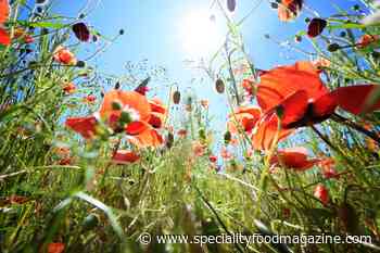 Why preserving artisan food and farming is central to sustainability | News - Speciality Food