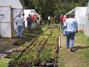 Empty shelves show need for resilient food system - Cambrian News