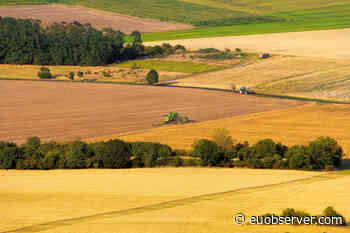 MEPs back EU food reform, despite strong lobbying - EUobserver