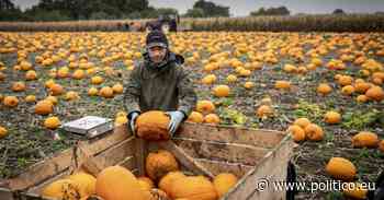 EU’s green food plan survives lobby push in MEPs’ votes - POLITICO Europe