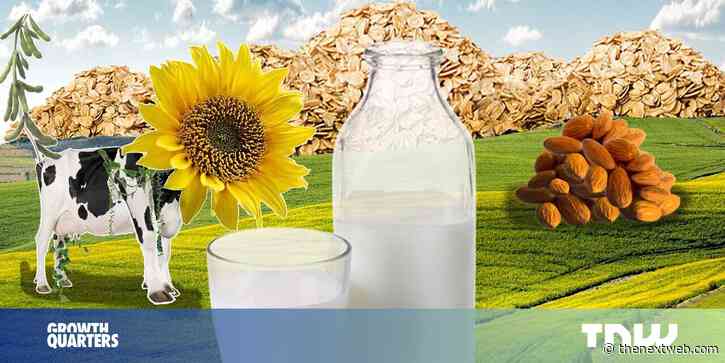 4 tips for startups in the booming plant-based dairy market