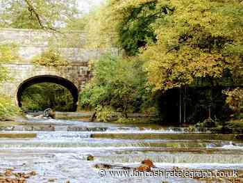 Burnley's six main parks win Green Flag status
