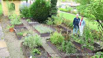 Zeller-Mörike-Garten in Nagold: Winterruhe  im Kulturdenkmal