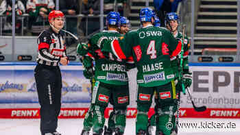 DEL bedauert Phantomtor in Augsburg - Kein Einfluss auf Wertung - kicker