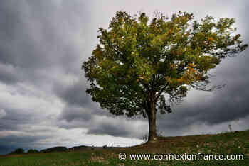 Tornadoes, roads blocked, power cuts: Storm Aurora hits north France - The Connexion