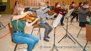 Jubiläumskonzert der Musikschule Wildberg: Schülerzahlen seither verdreifacht