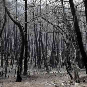 24 Menschen in Syrien wegen Brandstiftung hingerichtet - radioeuskirchen.de