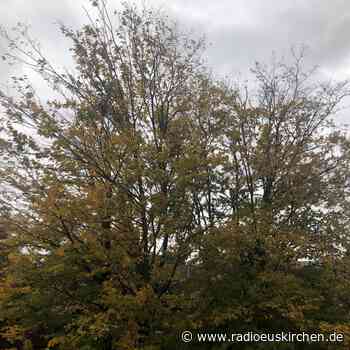 Bisher 44 Sturmeinsätze im Kreis Euskirchen - radioeuskirchen.de