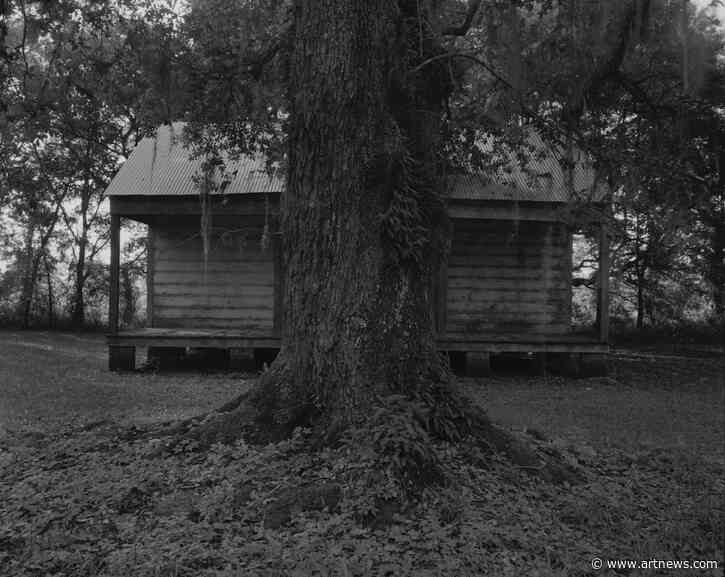 Plantation Landscapes and Murky Water: Dawoud Bey at Sean Kelly