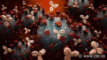 Hamilton clinic to use monoclonal antibody treatment for high-risk COVID-19 patients