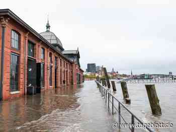 Lage nach Herbststurm entspannt sich – weiterhin Böen möglich - Landkreis Stade - Tageblatt-online