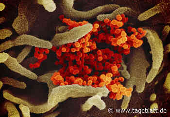 Weiterer Corona-Todesfall im Landkreis Stade - Landkreis Stade - Tageblatt-online