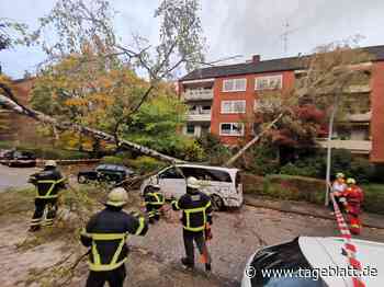 Sturm "Ignatz" sorgt für Hochwasser und Zugausfälle - Landkreis Stade - Tageblatt-online