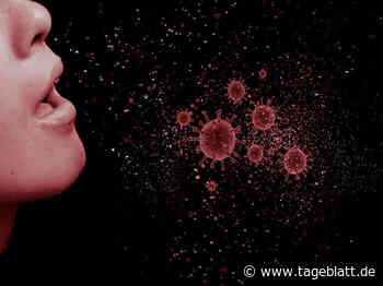 20 Neuinfektionen registriert – Inzidenz im Landkreis Stade steigt leicht - Alle Artikel - Tageblatt-online