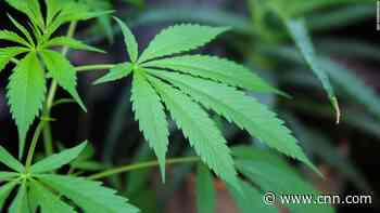 Luxembourg to become first country in Europe to legalize cannabis