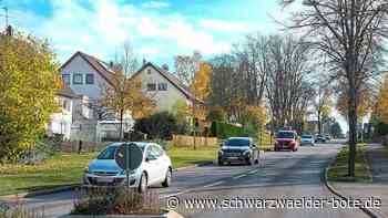 Lärmaktionsplan Neubulach: Jetzt kommt Tempo 40 statt 30