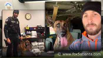 Former Forest Park police officers seeks to adopt former K-9 partner - FOX 5 Atlanta