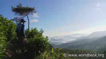 Opening the Door to Community Forest Access and Management in Indonesia - World Bank Group