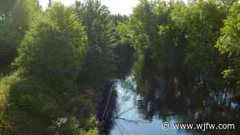 Conservancy group purchases 70K acres of Northwoods forest - WJFW-TV