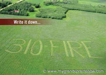 Wildfire danger low in Grande Prairie Forest Area - My Grande Prairie Now