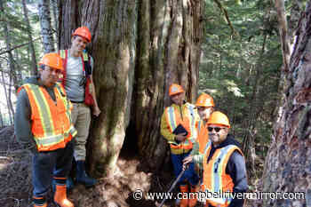 Nanwakolas Council and Western Forest Products announce letter of understanding – Campbell River Mirror - Campbell River Mirror