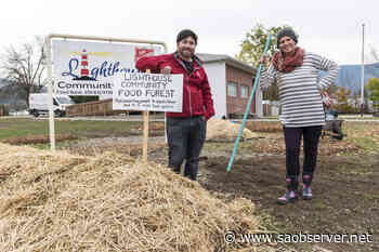 Community food forest taking root at Salmon Arm Salvation Army property – Salmon Arm Observer - Salmon Arm Observer