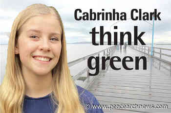 THINK GREEN: Forest fires are natural but B.C.’s are burning at an unsustainable rate - Peace Arch News