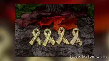 OSPCA releases pins to commemorate animals who served during the war