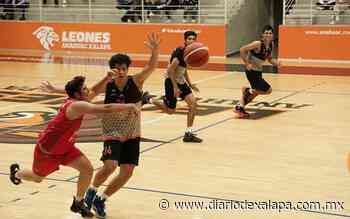 Guerreros de Xalapa recibe en Coatepec a Jaibos e Industriales en la liga Cibapac - Diario de Xalapa
