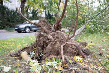Dresdner Straßenbahnen fahren wieder, Lebensgefahr in der Heide - Sächsische.de