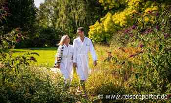 Bad Bevensen: Tipps für deinen Urlaub in der Lüneburger Heide - Reisereporter