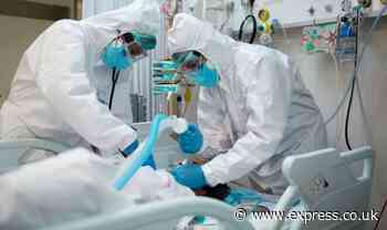 'The fourth wave has started' Germany sparks panic as coronavirus cases soar - Daily Express
