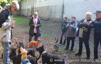 Hundespielplatz in Memmingen: Im Frühjahr soll ein neuer Anlauf starten - Allgäuer Zeitung