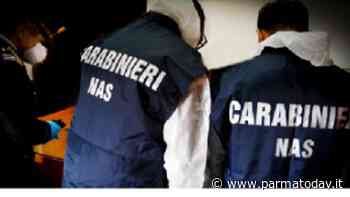 I Nas di Parma sequestrano 20 tonnellate di cosce di suino con ruggine e sporcizia - ParmaToday