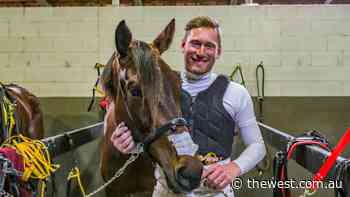 Babyface Adda has bigger targets ahead after win at Gloucester Park - The West Australian