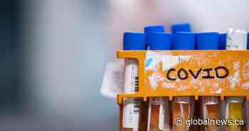 COVID-19: Saskatchewan officials report record-breaking 12 deaths