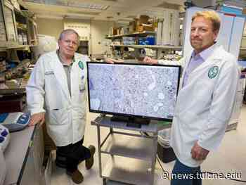 Tulane scientists unravel 50-year-old medical mystery behind toddlers' deaths from RSV vaccine - Tulane News
