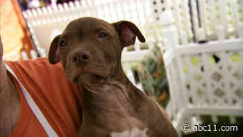 Bates Motel is an award-winning haunt created to save the family farm