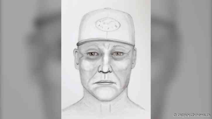 Sketch released of suspect in Canada Day sexual assault in Calgary park