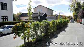 Bäumchen, wechsle dich - Süddeutsche Zeitung